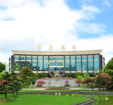 貴（guì）州百靈集團